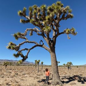 Meet your Posher, Shelly